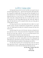 Luận văn thạc sĩ giáo dục: Một số biện pháp giáo dục kỹ năng thiết lập các mối QHXH cho trẻ KTTT nhẹ 4 5 tuổi trong môi trường giáo dục hòa nhập