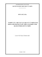 Nghiên cứu, chế tạo vật liệu xử lý nhóm nitơ trong môi trường nước trên cơ sở biến tính quặng pyrolusit tự nhiên 
