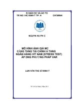 luận văn mô HÌNH ĐÁNH GIÁ mức độ CĂNG THẲNG tài CHÍNH hệ THỐNG NGÂN HÀNG VIỆT NAM (STRESS TEST) áp DỤNG PHƯƠNG PHÁP VAR 