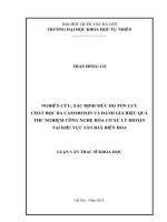 Nghiên cứu, xác định mức độ tồn lưu chất độc da cam dioxin và đánh giá hiệu quả thử nghiệm cộng nghệ hóa cơ xử lý dioxin tại khu vực sân bay biên hòa 