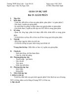 Giáo án sinh học 11  bài 19 giảm phân