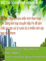 Nghiên cứu biến tính than hoạt tính bằng kim loại chuyển tiếp fe để làm chất xúc tác xử lý nước bị ô nhiễm bởi các hợp chất thơm 
