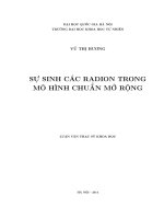 Sự sinh các radion trong mô hình chuẩn mở rộng 