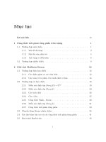 Giải tích malliavin và ứng dụng 