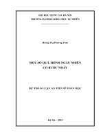 Một số quá trình ngẫu nhiên có bước nhảy trong tài chính 