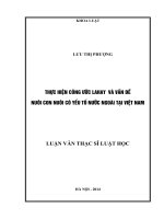 Thực hiện công ước lahay và vấn đề nuôi con nuôi có yếu tố nước ngoài tại việt nam 