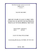 Một số vấn đề lý luận và thực tiễn về bảo vệ các quyền con người bằng pháp luật tố tụng hình sự việt nam 