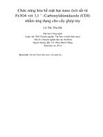 Chức năng hóa bề mặt hạt nano ôxít sắt từ fe3o4 với 1,1 ’  carbonyldiimidazole (CDI) nhằm ứng dụng cho cấy ghép tủy 
