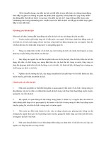 Nội-dung-xúc-tiến-du-lịch (1)