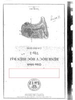 GIÁO TRÌNH BỆNH học y học HIỆN đại tập 2 