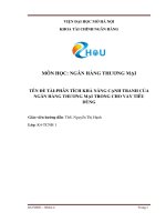 Phân tích khả năng cạnh tranh của ngân hàng thương mại trong cho vay tiêu dùng 