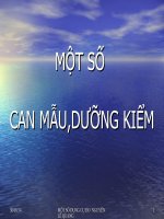 Dung sai và các dụng cụ đo dung sai