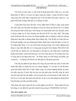 Hoàn thiện kế toán bán hàng và xác định kết quả kinh doanh trong công ty TNHH BMG Việt Nam