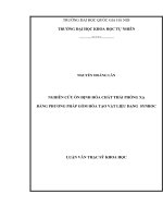 NGHIÊN cứu ổn ĐỊNH hóa CHẤT THẢI PHÓNG xạ BẰNG PHƯƠNG PHÁP gốm hóa tạo vật LIỆU DẠNG SYNROC 