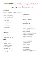 Từ vựng - Ngữ pháp Tiếng Anh lớp 11 Unit 3