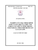 Nghiên cứu đặc điểm hình ảnh và giá trị của siêu âm, chụp cắt lớp vi tính trong chẩn đoán, theo dõi bệnh sán lá gan lớn