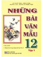 Những bài văn mẫu 12 (tập 1) phần 1 