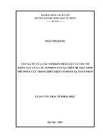 Tán xạ từ của các nơtron phân cực và véc tơ phân cực của các nơtron tán xạ trên bề mặt tinh thể phân cực trong điều kiện có phản xạ toàn phần 