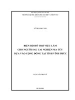 Biện hộ hỗ trợ việc làm cho người sau cai nghiện ma túy dựa vào cộng đồng tại tỉnh vĩnh phúc 