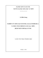Nghiên cứu rối loạn enzyme α–galactosidase a và phân tích trình tự gen GLA trên bệnh nhân phì đại cơ tim 