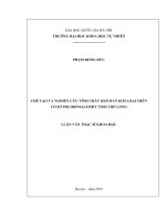 CHẾ tạo và NGHIÊN cứu TÍNH CHẤT KEO dán KIM LOẠI TRÊN cơ sở POLIBISMALEIMIT TINH THỂ LỎNG 