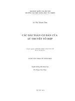 Các bài toán cơ bản của lý thuyết tổ hợp 