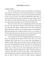 Đánh giá đáp ứng điều trị và chức năng thận của phác đồ có bortezomib trong bệnh đa u tuỷ xương (TT) 
