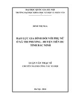 BẠO lực GIA ĐÌNH đối với PHỤ nữ ở xã TRI PHƯƠNG   HUYỆN TIÊN DU TỈNH bắc NINH 