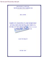 NGHIÊN CỨU ẢNH HƯỞNG CỦA MỘT SỐ BIỆN PHÁP KỸ THUẬT ĐẾN SINH TRƯỞNG, PHÁT TRIỂN CỦA CÂY ĐỊA LAN TRẦN MỘNG XUÂN (Cymbidium lowianum) TẠI HUYỆN SA PA – TỈNH LÀO CA.i