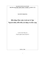 Biến động mùa xuân arab tại ai cập nguyên nhân, diễn biến, tác động và triển vọng 