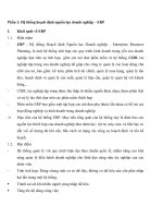 Thực trạng ứng dụng ERP và CRM tại Việt Nam