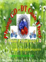 Bài giảng Toán 1 chương 2 bài 13: Phép cộng trong phạm vi 9