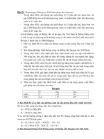 Bài tập kinh tế vi mô chuẩn không cần chỉnh