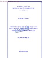 NGHIÊN CỨU MỘT SỐ BIỆN PHÁP KỸ THUẬT NHẰM TĂNG NĂNG SUẤT, CHẤT LƯỢNG CHUỐI TIÊU HỒNG TRỒNG TẠI VÙNG KHOÁI CHÂU, HƯNG YÊN