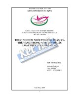 thực nghiệm nuôi thương phẩm cá trê vàng trong ao đất với các loại thức ăn khác nhau 
