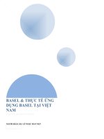 BASEL và THỰC tế ỨNG DỤNG BASEL tại VIỆT NAM