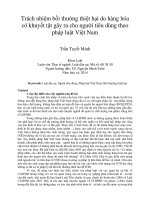 Trách nhiệm bồi thường thiệt hại do hàng hóa có khuyết tật gây ra cho người tiêu dùng theo pháp luật việt nam 