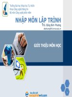 Nhập môn lập trình (Đại học Khoa học Tự nhiên TPHCM)