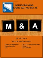 Tiểu luận môn tài chính công ty ma các doanh nghiệp 