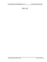 Báo cáo thực tập kế toán: HẠCH TOÁN NGHIỆP VỤ KẾ TOÁNỞ CÔNG TY CỔ PHẦN MAI LINH MIỀN BẮC