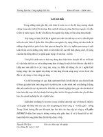 Báo cạo thực tập kế toán: Thực tế các phần hành kế toán tại Công ty cổ phần LICOGI13