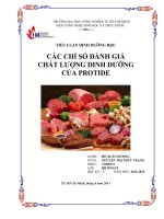 TIỂU LUẬN DINH DƯỠNG HỌC  CÁC CHỈ SỐ ĐÁNH GIÁ  CHẤT LƯỢNG DINH DƯỠNG  CỦA PROTIDE