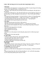 chủ đề trường tiểu học tuần 2