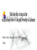 THUYẾT TRÌNH VỀ Công nghệ NovaChip VÀ CACBONCOR