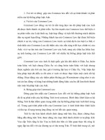 So sánh Vai trò và đóng  góp của Common law với equity đối với sự hình thành và phát triển của hệ thống pháp luật Anh