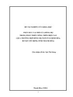 Phát huy vai trò của dòng họ trong phát triển nông thôn hiện nay (trường hợp dòng họ ngô ở đồng phang, xã định hòa, huyện yên đinh, tỉnh thanh hóa)