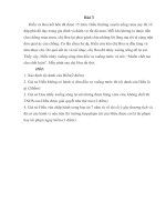 Bài tập học kỳ hình sự tình huống