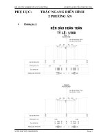 PHỤ LỤC TRẮC NGANG ĐIỂN HÌNH 2 PHƯƠNG ÁN