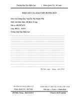 Hoàn thiện kế toán bán hàng và xác định kết quả bán hàng tại công ty TNHH thương mại dịch vụ tổng hợp Việt An