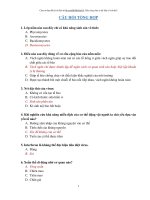 FBMạnhĐức TEST visinh TONGHOP 